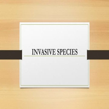 CATFISH.pptx Invasive Plants and Animals | PPTX