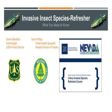 Invasive Insect Species Refresher | PPTX