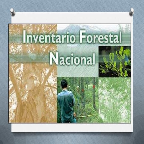 Inventario forestal