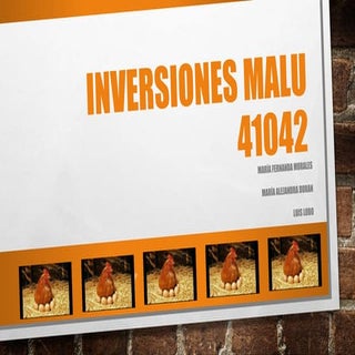 Inversiones malu 4to_informe