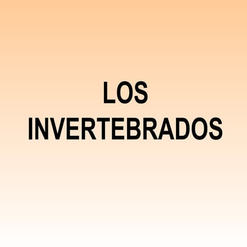 Invertebrado | PPT