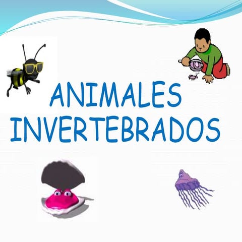 Invertebrados