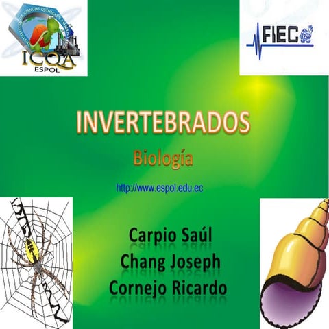 Invertebrados