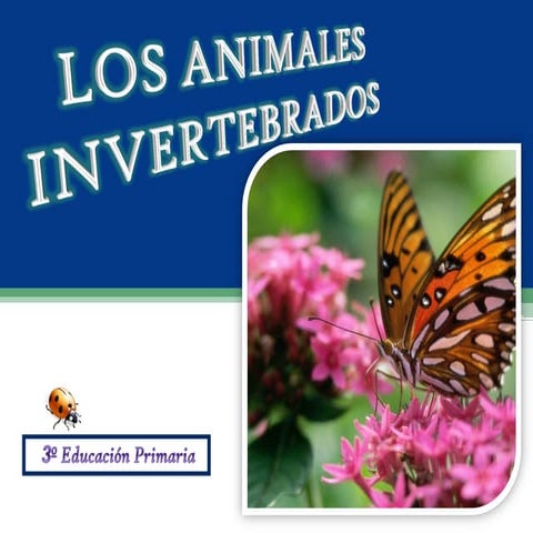 Los animales invertebrados
