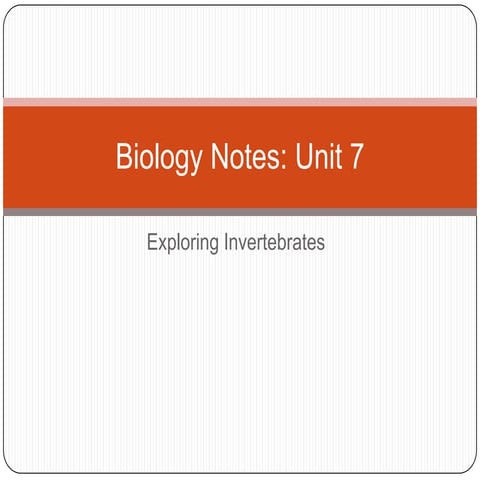 Invertebrate notes | PPTX
