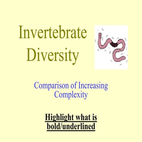 Invertebrate Portfolio | PPT