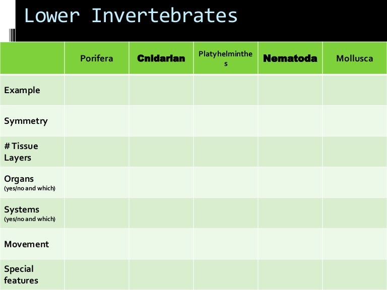 Invertebrates Characteristics Chart