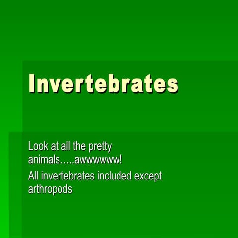 Invertebrates