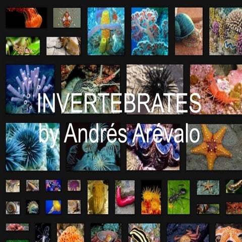 Invertebrates