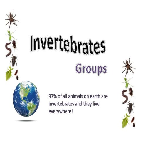 Invertebrates