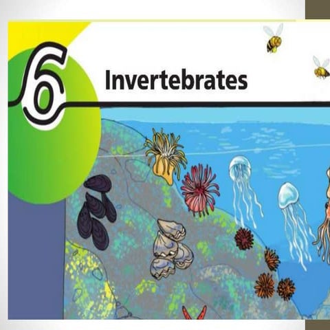 Invertebrates