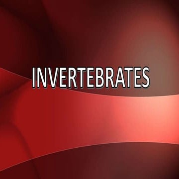Invertebrates