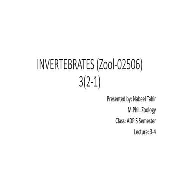 INVERTEBRATES  Phylum Porifera.pdf
