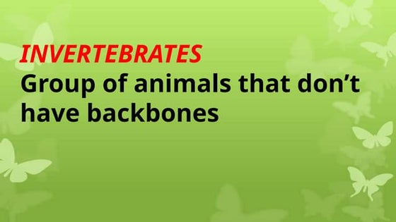 Invertebrates class ppt | PPT