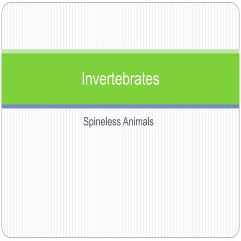 Invertebrates slide show