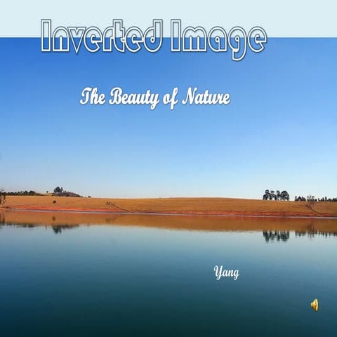 Inverted Image