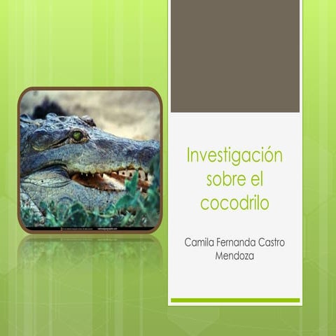 Investigación sobre el cocodrilo