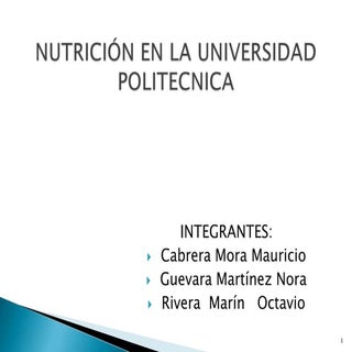 Investigacion  -nutricion