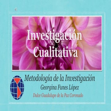 Investigacion Cualitativa