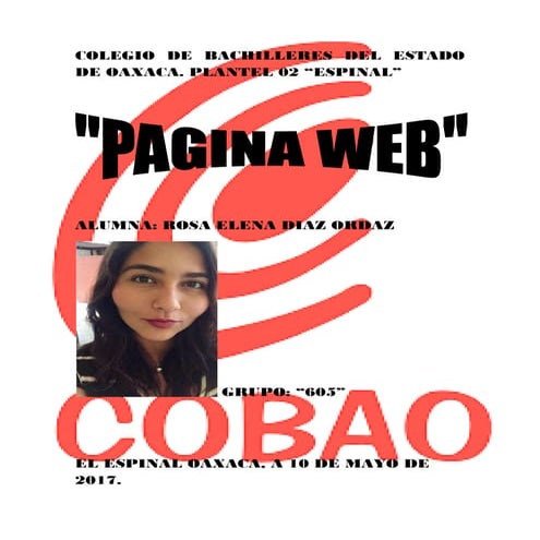 Investigacion de pagina web