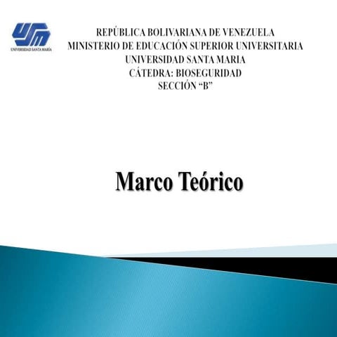 marco teorico