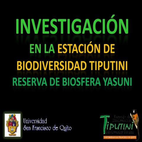 Investigacion RBY