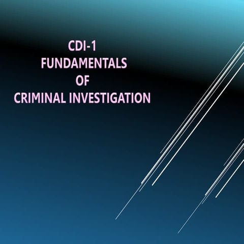 Investigation Report.pptx