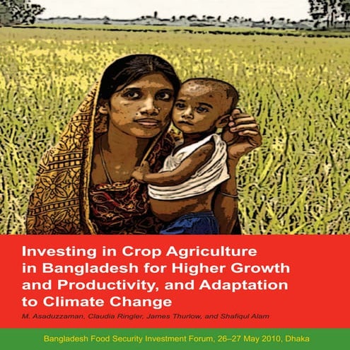 Role of Agriculture In Bangladesh | DOCX