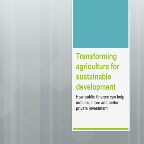 Investing in agriculture