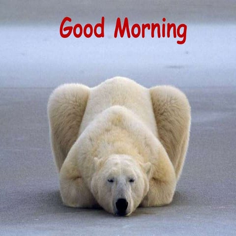 Investment materials