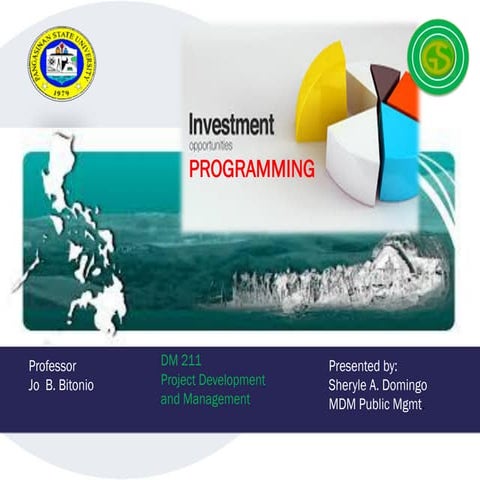 Investment Programming | PDF