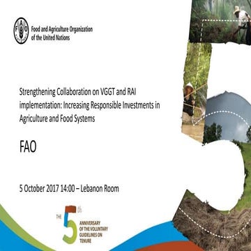 STRENGTHENING COLLABORATION ON VGGT AND RAI IMPLEMENTATION: INCREASING RESPON...