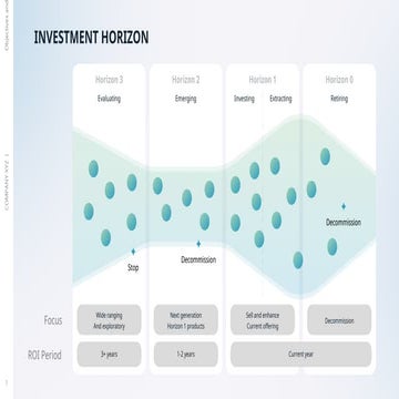 Investment Sustainability Strategies.pptx