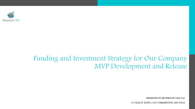 Investment strategy  for mvp development and release