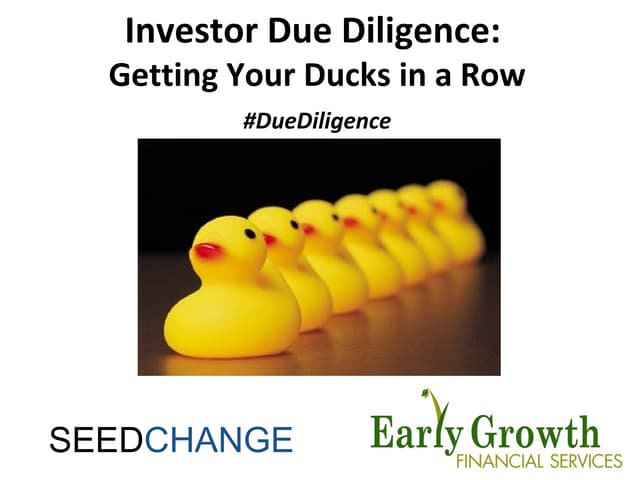 Investor Due Diligence: Getting Your Ducks in a Row