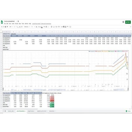 Invoice analytics | PDF