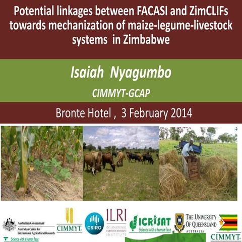 I nyagumbo zim clif ca zim