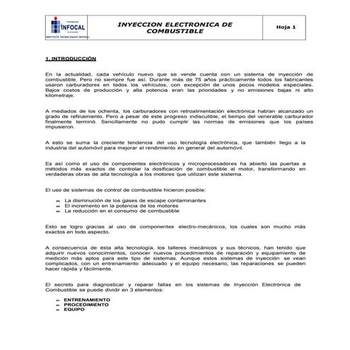 Inyeccion a gasolina de combustible