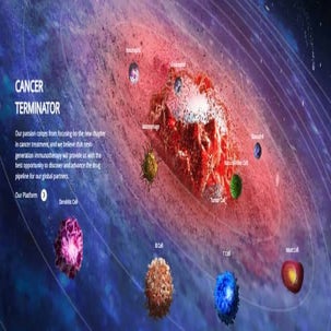 Antibody and Protein Toxicology