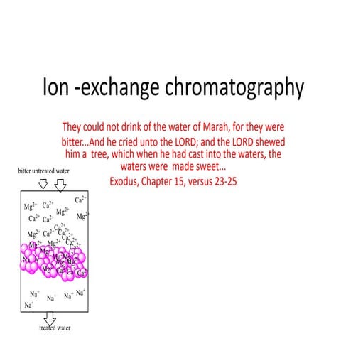 Ion  exchange chromatography