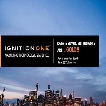 IgnitionOne - IgnitionOne Lunch & Learn