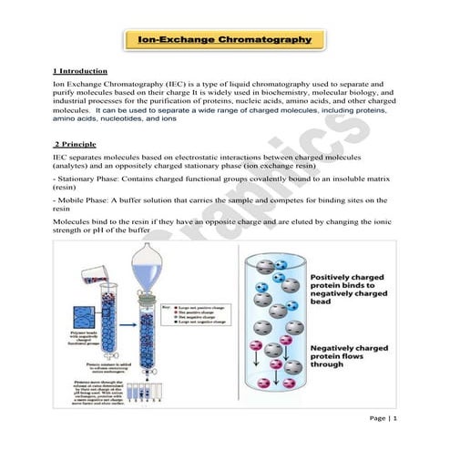 Ion Exchange Chromatography for B.Sc Biotechnology/Botany