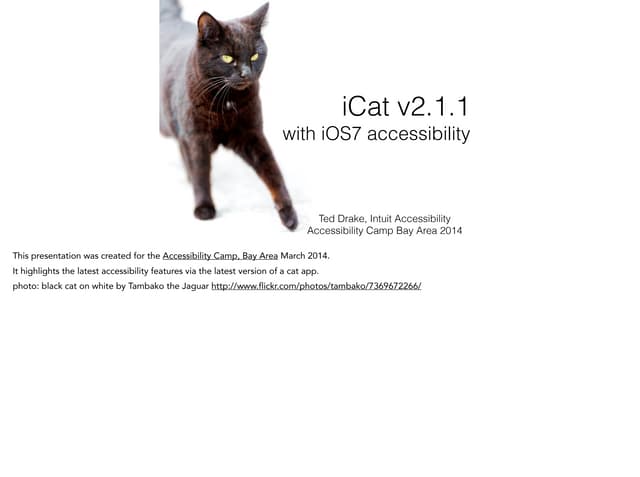 iOS 7.1 accessibility for developers