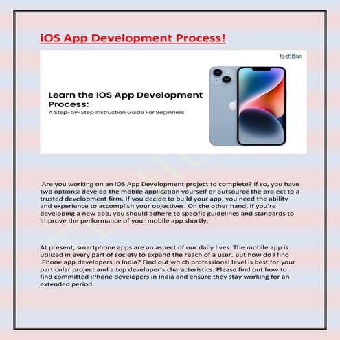 iOS App Development Process.pdf