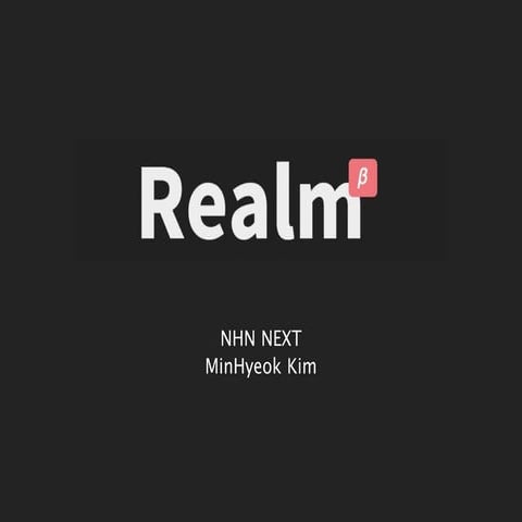 iOS Realm.io