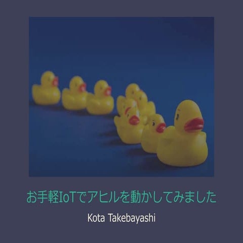 IoTでアヒルを動かしてみました