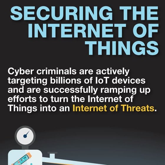 Securing the Internet of Things 2017
