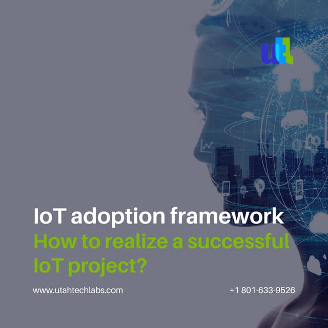 IoT Adoption Framework. How to Realize a Successful IoT Project?