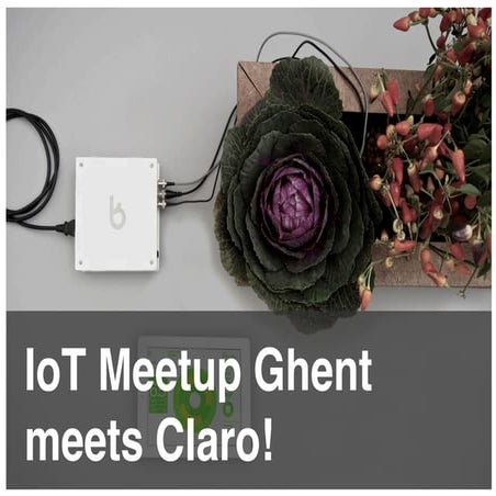 Emerging opportunities in the Internet of Things - IoT Meetup Ghent 