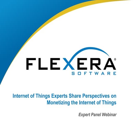 Internet of Things Experts Share Perspectives on Monetizing the Internet of T...